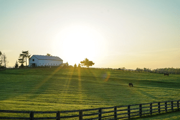 A white farm barn on a green rolling acreage at golden hour, with sunlight streaming across the field, a grazing horse, and a wooden fence in the foreground — a rural prairie landscape in Manitoba that can be connected with fiber Internet.